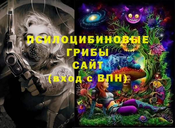 МДПВ Богданович