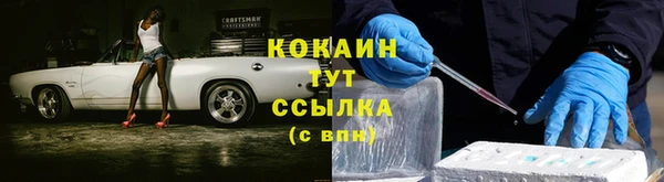 СК Богородицк